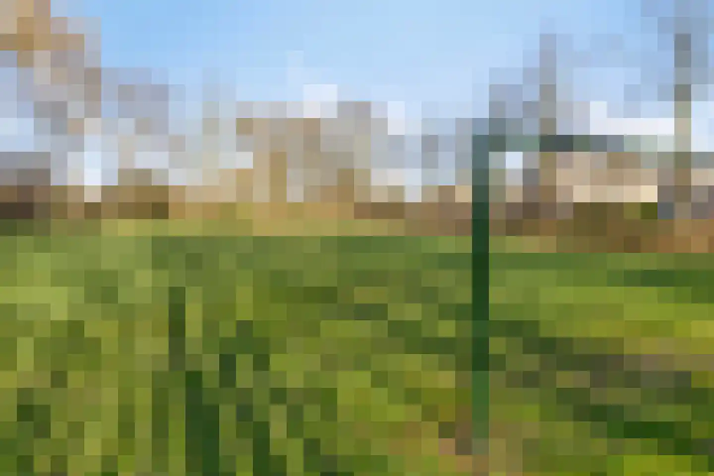 Keizershof 411 Uden thumbnail 37