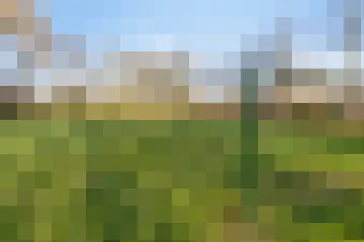 Keizershof 411 Uden thumbnail 37