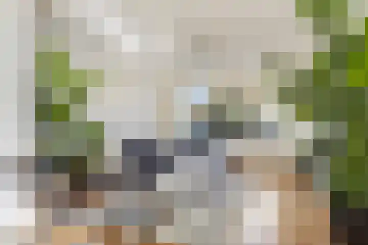 Keizershof 411 Uden thumbnail 8