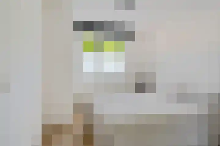 Keizershof 42 Alphen aan den Rijn thumbnail 10