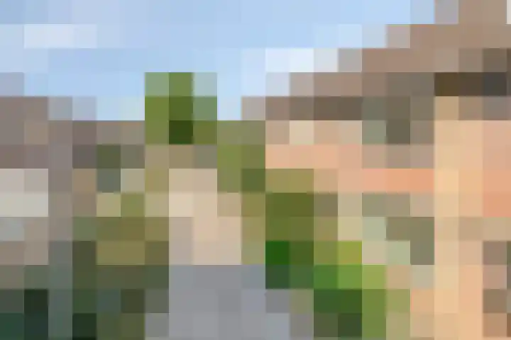 Keizershof 520 Uden thumbnail 14
