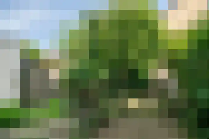 Keizershof 520 Uden thumbnail 33