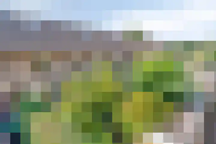 Keizershof 520 Uden thumbnail 36