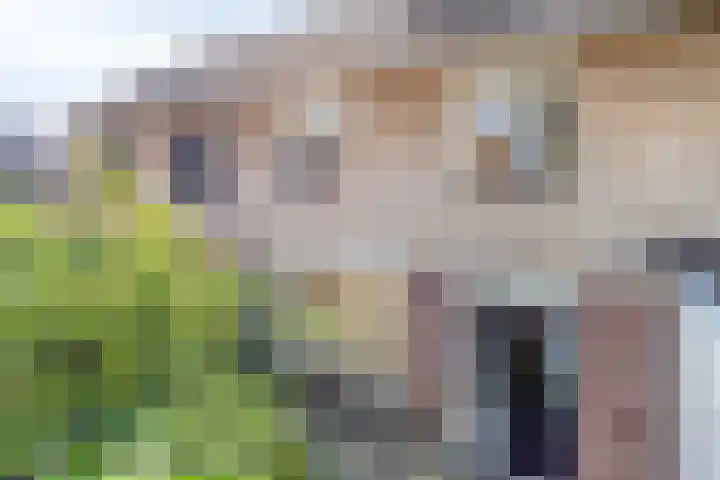 Keizershof 520 Uden thumbnail 37