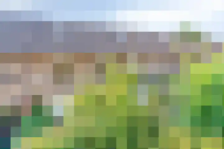 Keizershof 520 Uden thumbnail 38