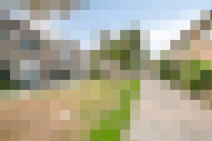 Keizershof 520 Uden thumbnail 39