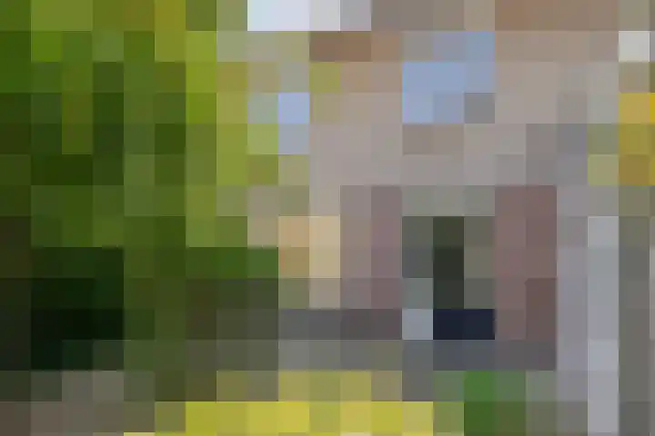 Keizershof 520 Uden thumbnail 4