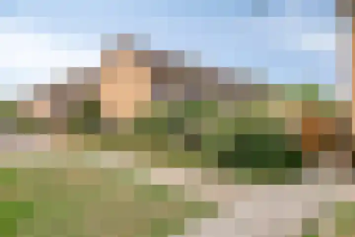 Keizershof 520 Uden thumbnail 41