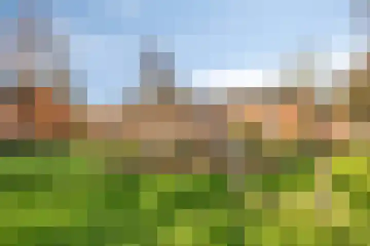 Keizershof 53 Harmelen thumbnail 35