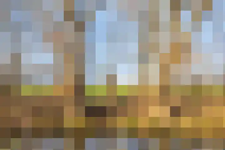Keizershof 53 Harmelen thumbnail 37
