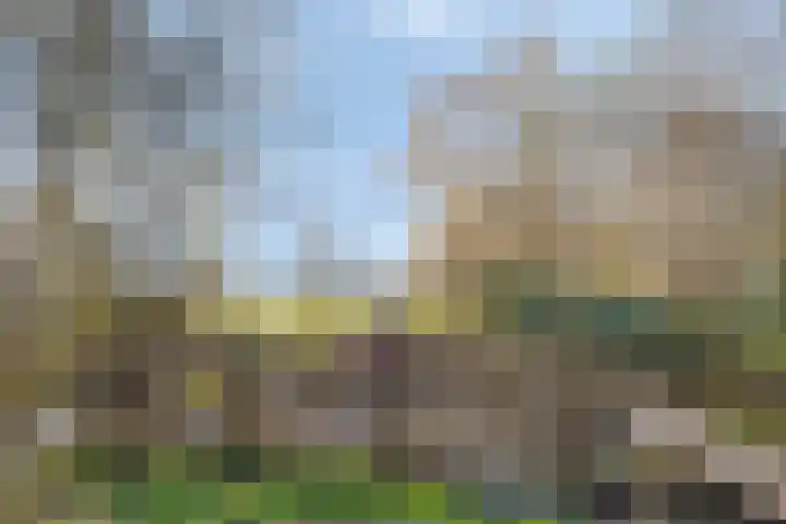 Keizershof 53 Harmelen thumbnail 38