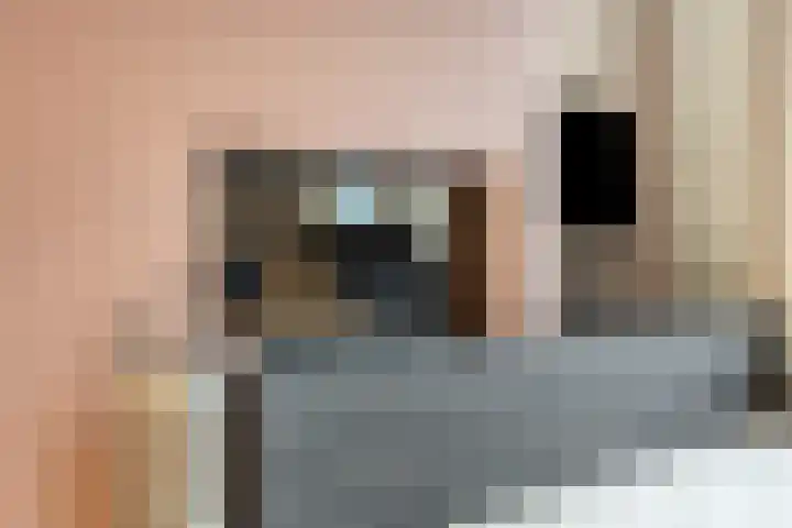 Keizershof 53 Harmelen thumbnail 8