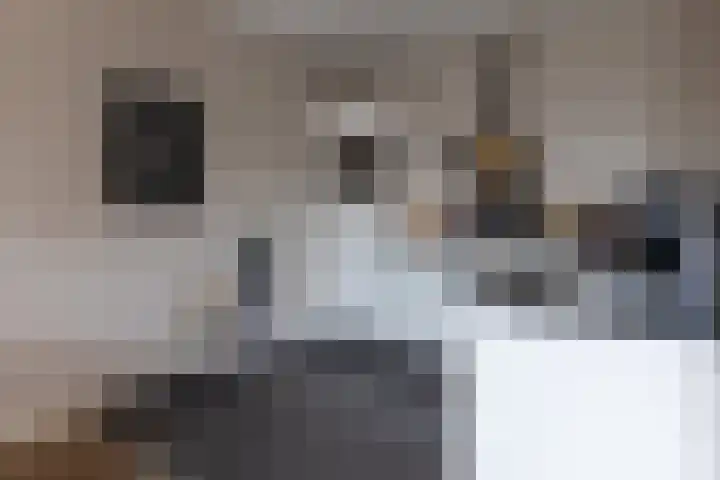 Keizershof 6 Enter thumbnail 17