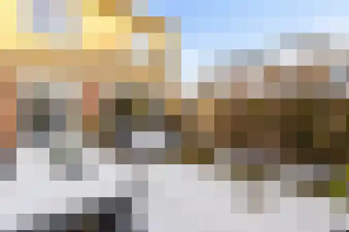 Keizershof 613 Uden thumbnail 47