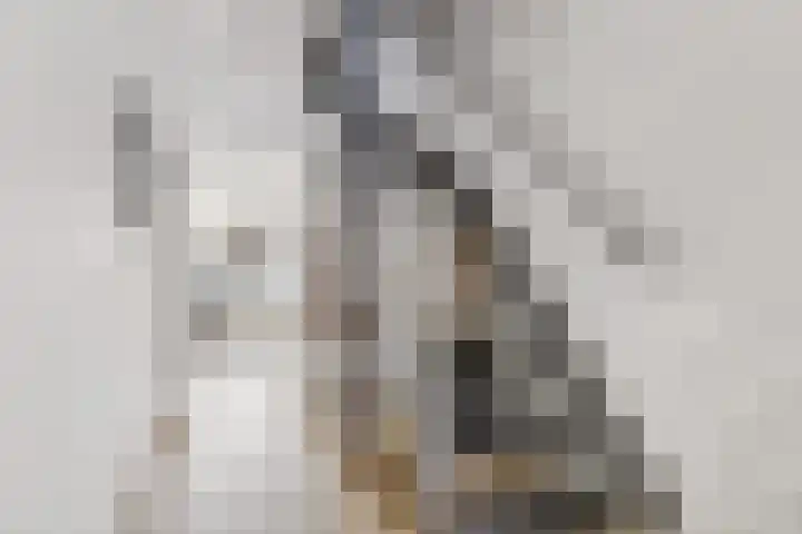 Keizershof 613 Uden thumbnail 7