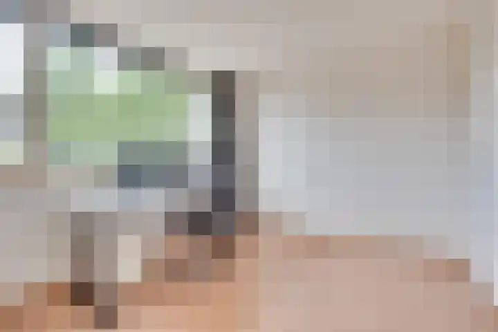 Keizershof 624 Uden thumbnail 15
