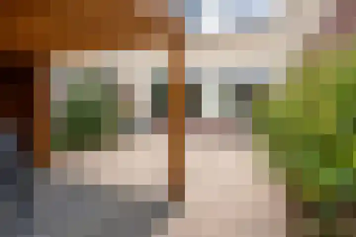Keizershof 624 Uden thumbnail 23
