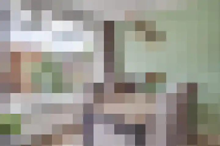 Keizershof 624 Uden thumbnail 8