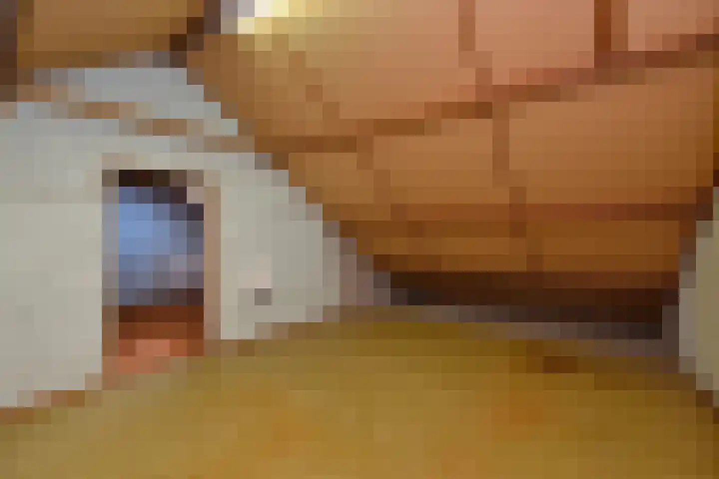 Keizershof 7 Molenhoek thumbnail 18