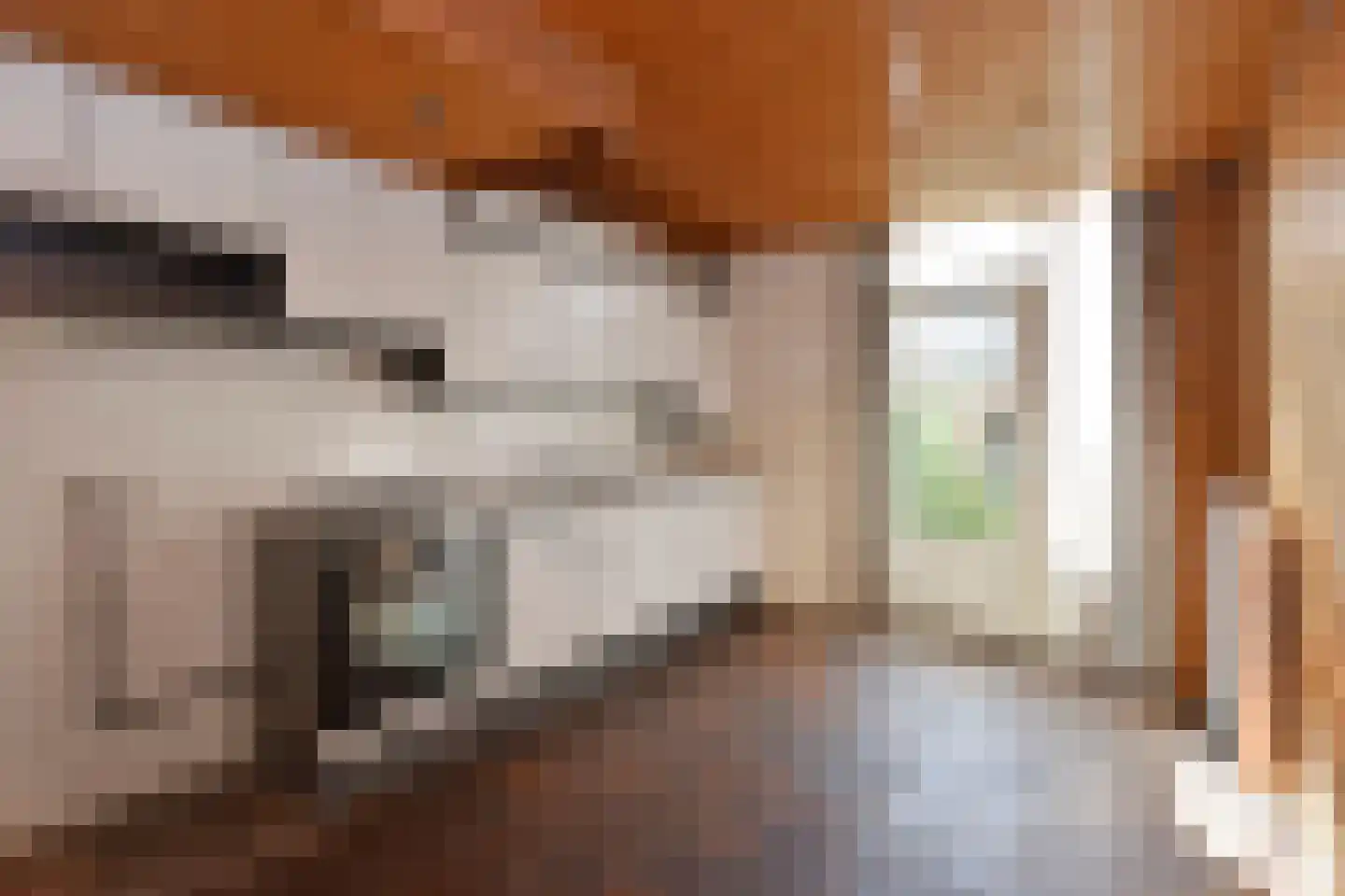 Keizershof 7 Molenhoek thumbnail 5