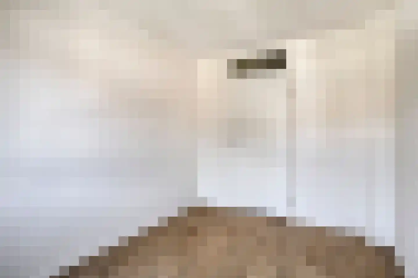 Keizershof 718 Uden thumbnail 18