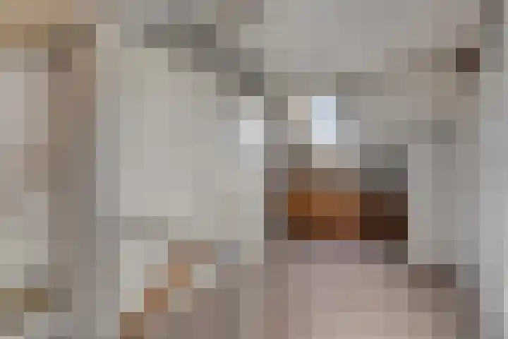 Keizershof 72 Molenhoek thumbnail 26