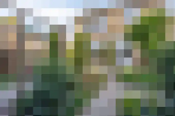 Keizershof 72 Molenhoek thumbnail 30