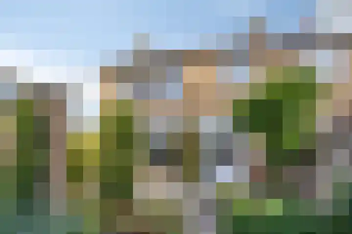 Keizershof 72 Molenhoek thumbnail 31