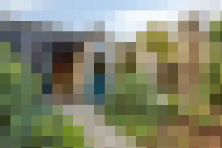 Keizershof 72 Molenhoek thumbnail 33