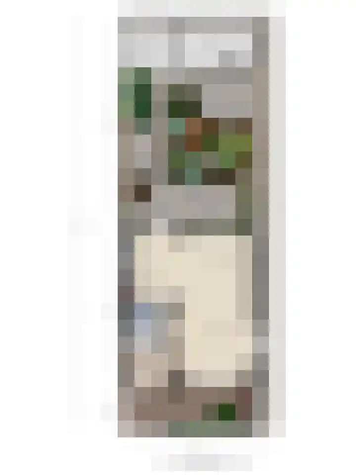 Keizershof 72 Molenhoek thumbnail 44