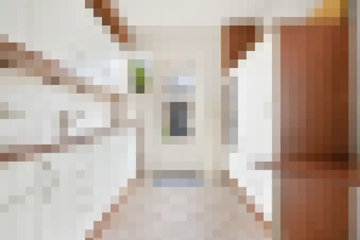 Keizershof 720 Uden thumbnail 12