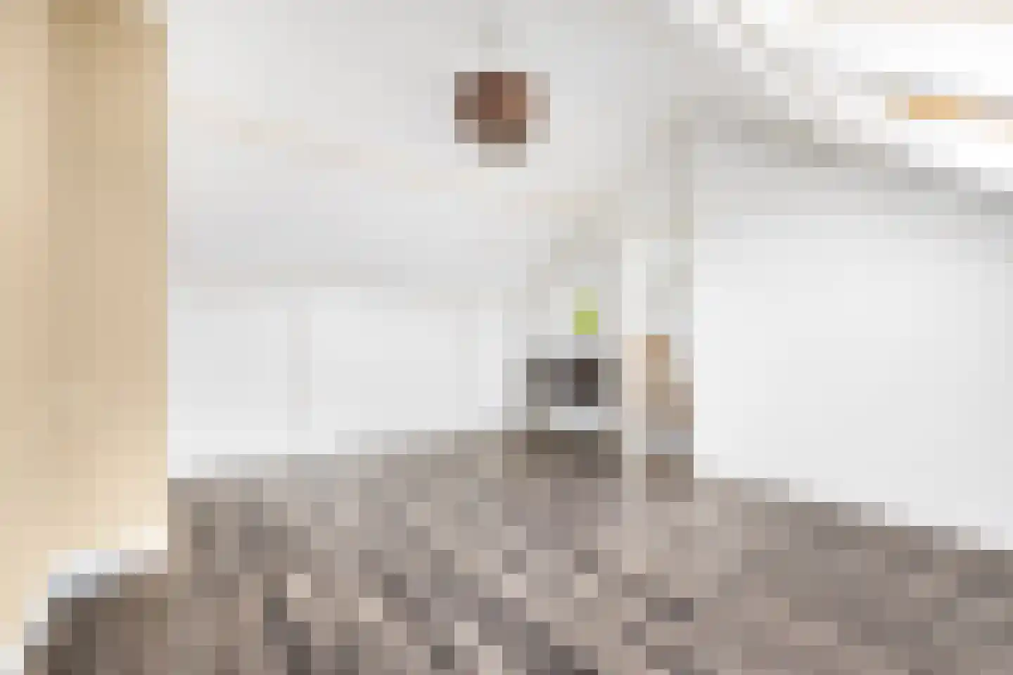 Keizershof 720 Uden thumbnail 28