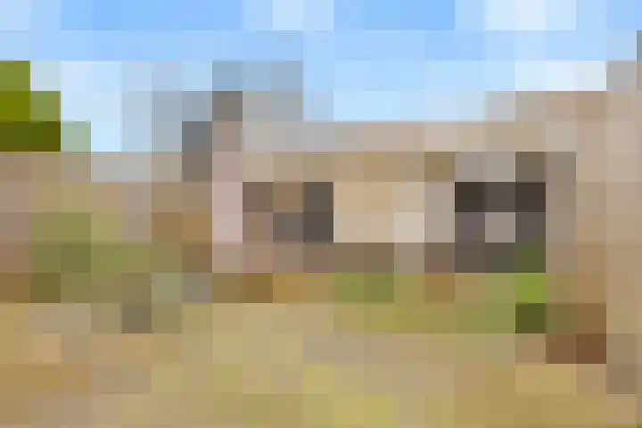 Keizershof 720 Uden thumbnail 31