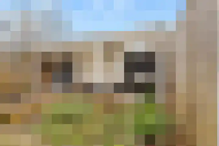 Keizershof 720 Uden thumbnail 32