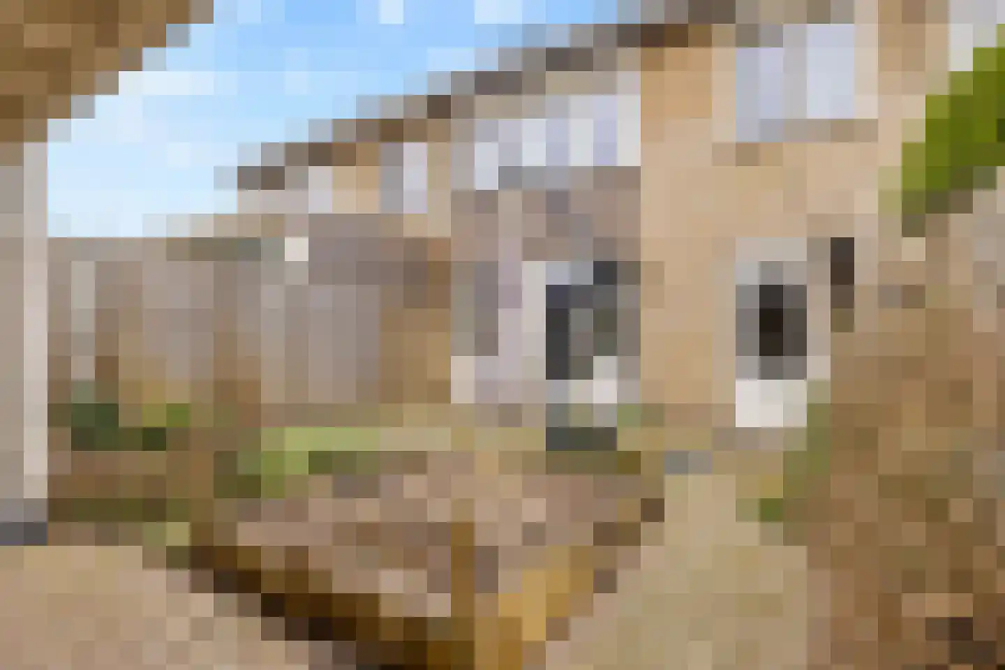 Keizershof 720 Uden thumbnail 33