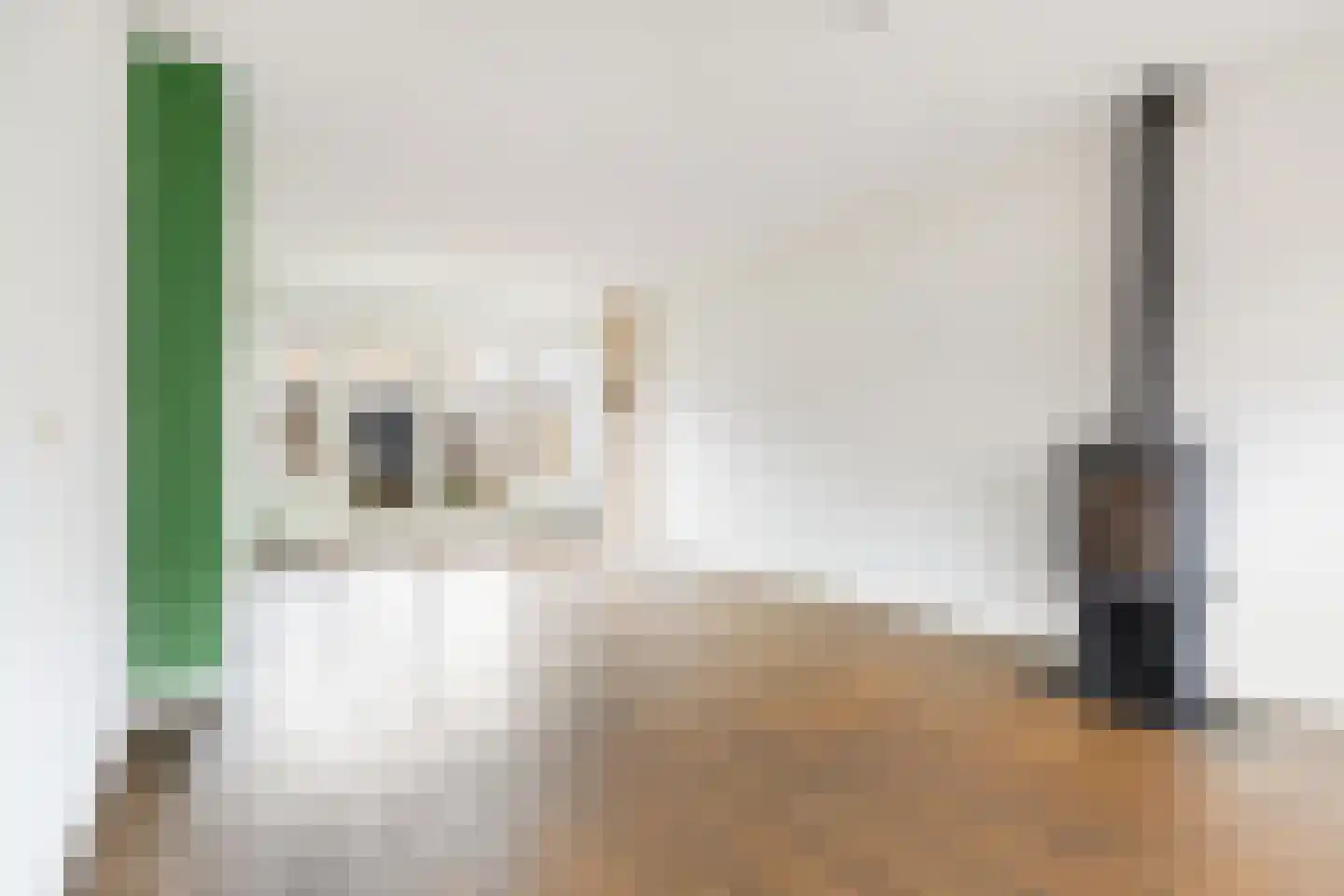 Keizershof 720 Uden thumbnail 8