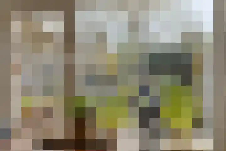 Keizershof 723 Uden thumbnail 15