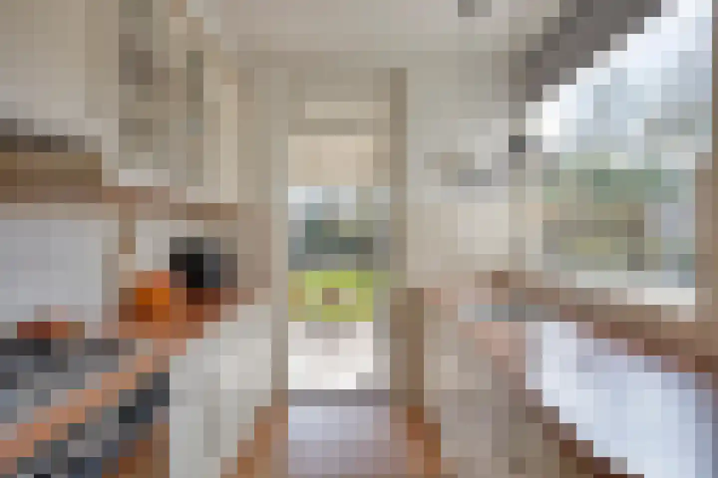 Keizershof 723 Uden thumbnail 17