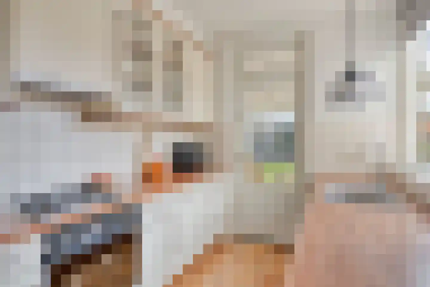 Keizershof 723 Uden thumbnail 18