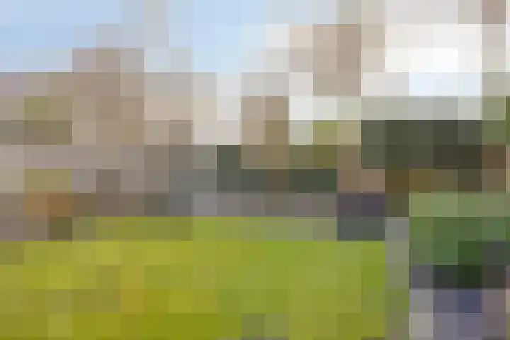 Keizershof 723 Uden thumbnail 31