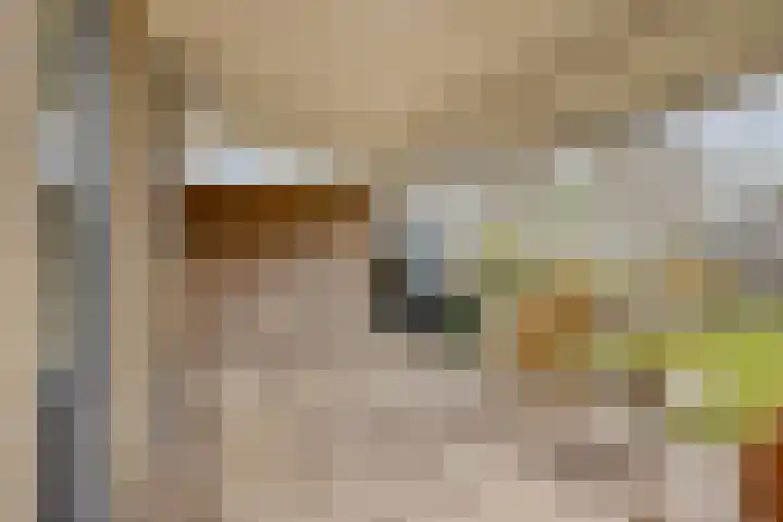 Keizershof 723 Uden thumbnail 33