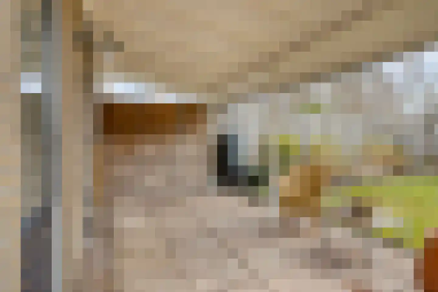 Keizershof 723 Uden thumbnail 38