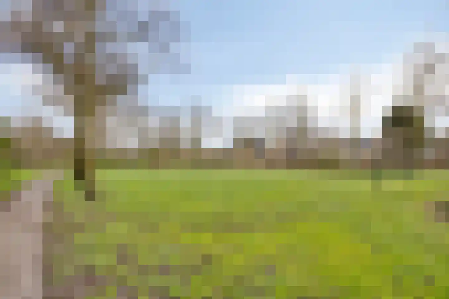 Keizershof 723 Uden thumbnail 43