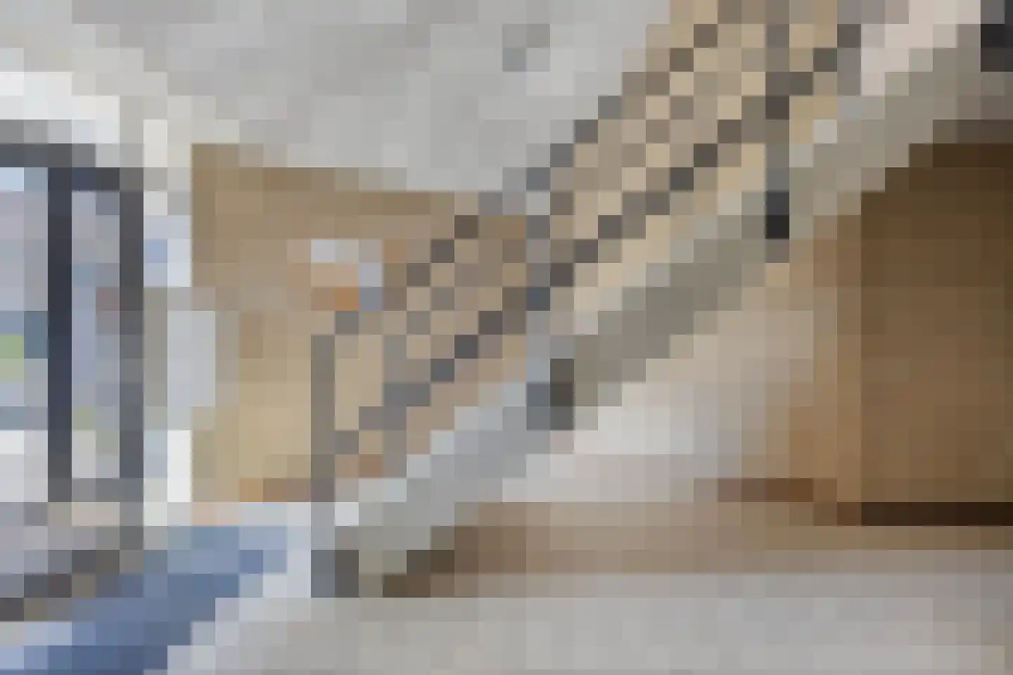 Keizershof 737 Uden thumbnail 7