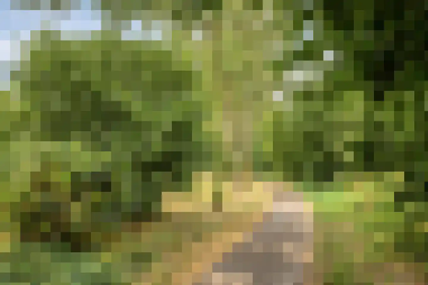 Keizershof 741 Uden thumbnail 29