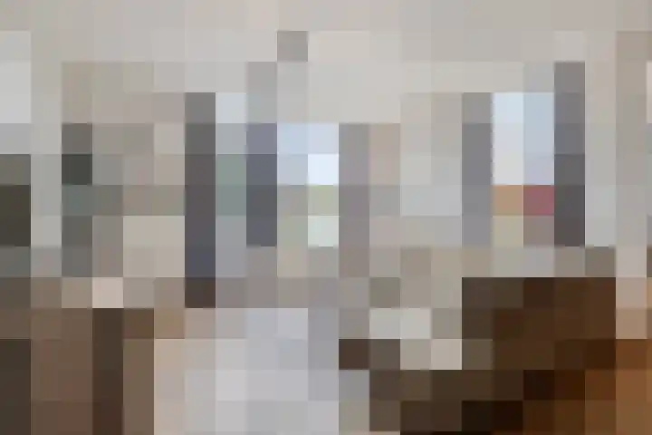 Keizershof 767 Uden thumbnail 13