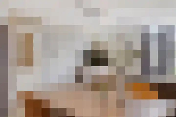 Keizershof 767 Uden thumbnail 18