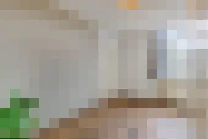 Keizershof 767 Uden thumbnail 27