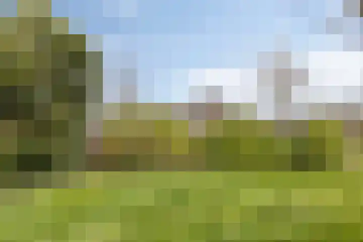 Keizershof 767 Uden thumbnail 32