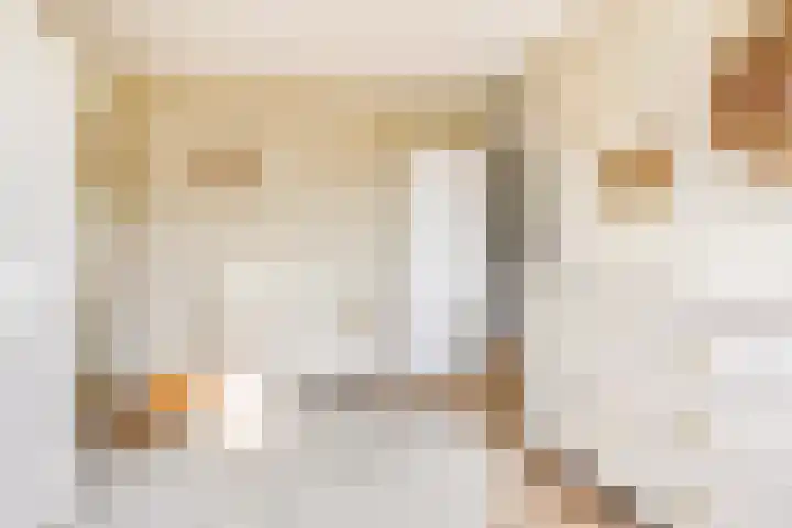 Keizershof 809 Uden thumbnail 21